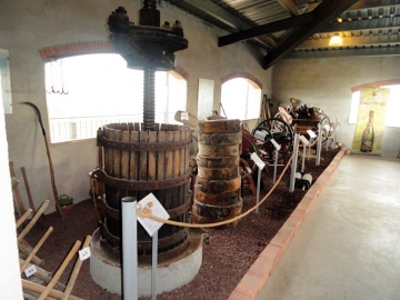 Winery Cuscó Berga